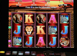 壹号电子娱乐app免费版